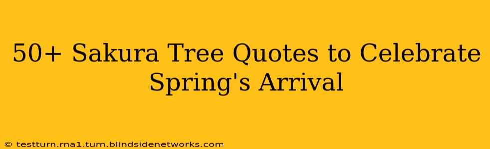 50+ Sakura Tree Quotes to Celebrate Spring's Arrival