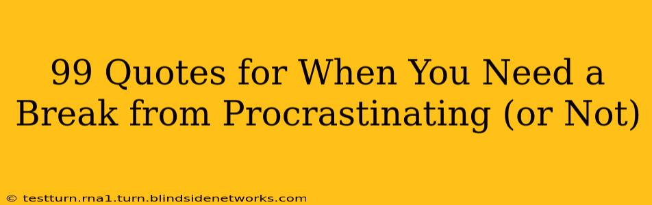 99 Quotes for When You Need a Break from Procrastinating (or Not)
