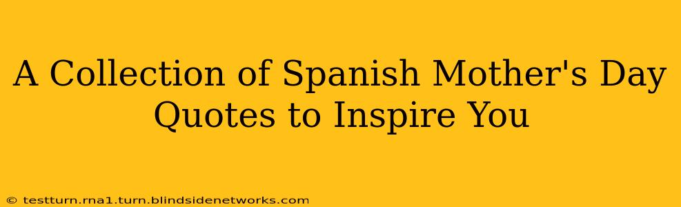 A Collection of Spanish Mother's Day Quotes to Inspire You