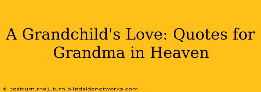 A Grandchild's Love: Quotes for Grandma in Heaven