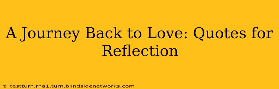 A Journey Back to Love: Quotes for Reflection