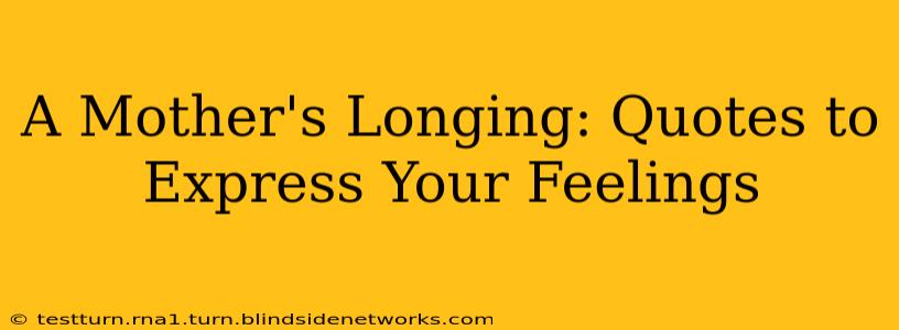 A Mother's Longing: Quotes to Express Your Feelings