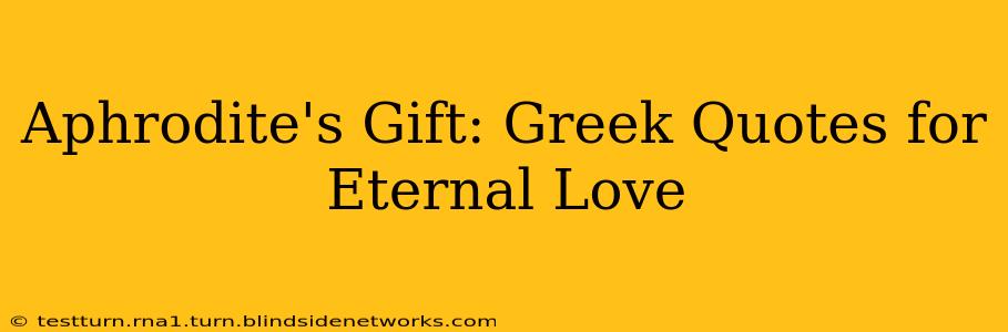 Aphrodite's Gift: Greek Quotes for Eternal Love