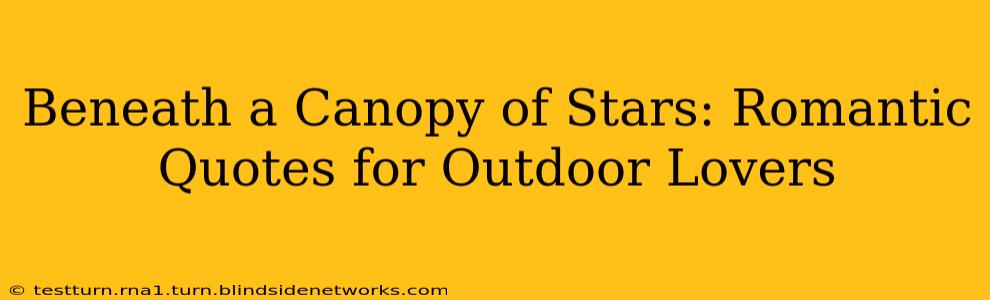 Beneath a Canopy of Stars: Romantic Quotes for Outdoor Lovers