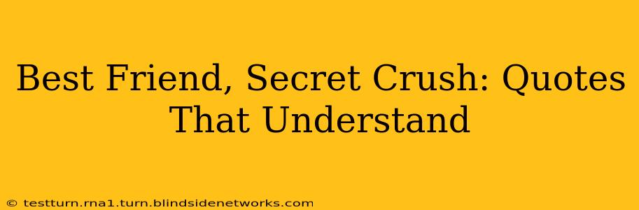 Best Friend, Secret Crush: Quotes That Understand