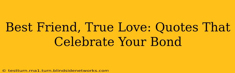 Best Friend, True Love: Quotes That Celebrate Your Bond