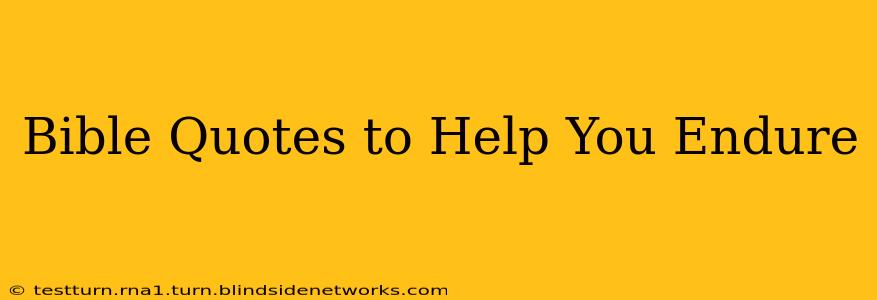 Bible Quotes to Help You Endure