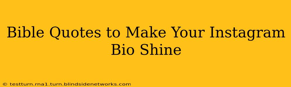 Bible Quotes to Make Your Instagram Bio Shine