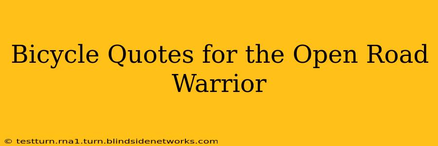 Bicycle Quotes for the Open Road Warrior