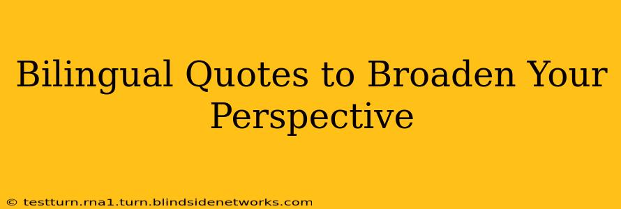 Bilingual Quotes to Broaden Your Perspective