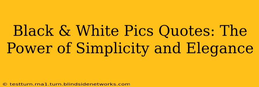 Black & White Pics Quotes: The Power of Simplicity and Elegance