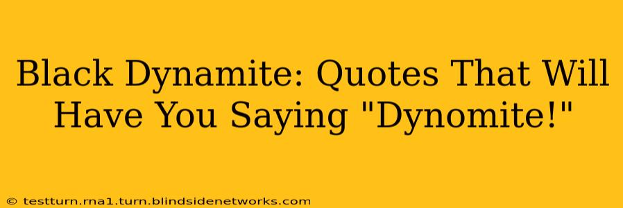 Black Dynamite: Quotes That Will Have You Saying "Dynomite!"