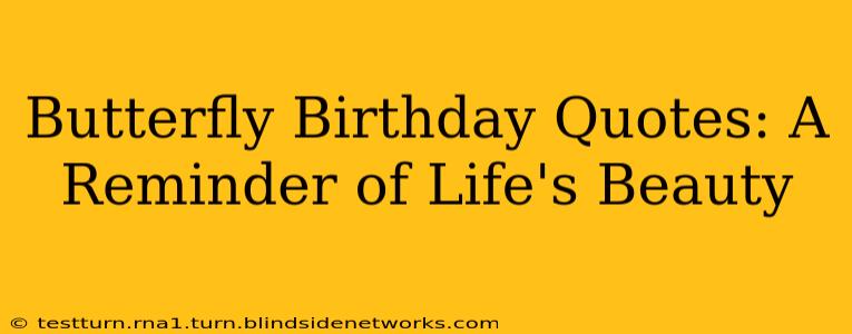 Butterfly Birthday Quotes: A Reminder of Life's Beauty