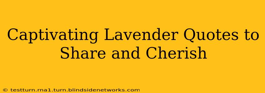 Captivating Lavender Quotes to Share and Cherish