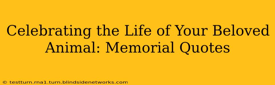 Celebrating the Life of Your Beloved Animal: Memorial Quotes