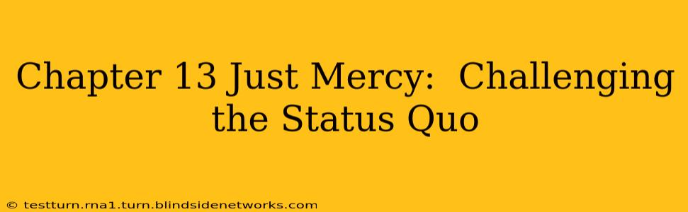 Chapter 13 Just Mercy:  Challenging the Status Quo