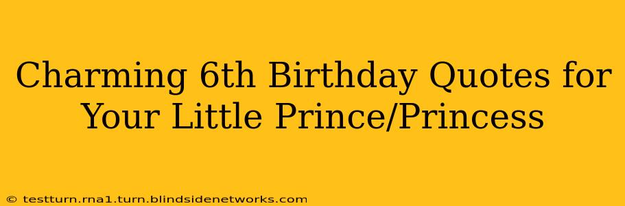 Charming 6th Birthday Quotes for Your Little Prince/Princess