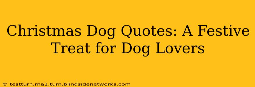 Christmas Dog Quotes: A Festive Treat for Dog Lovers