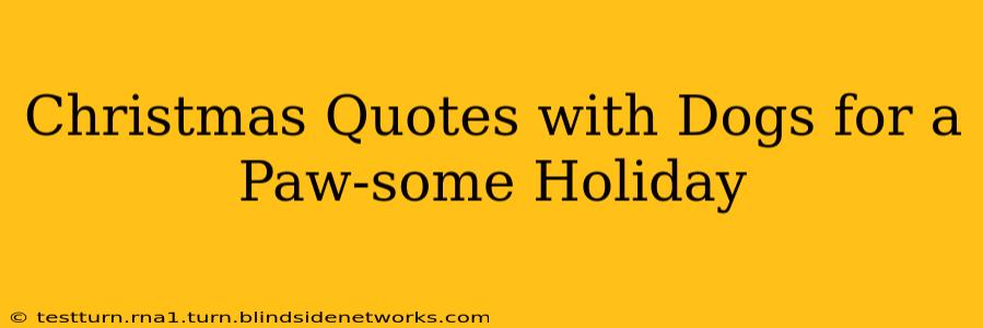 Christmas Quotes with Dogs for a Paw-some Holiday
