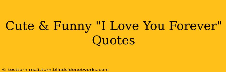 Cute & Funny "I Love You Forever" Quotes
