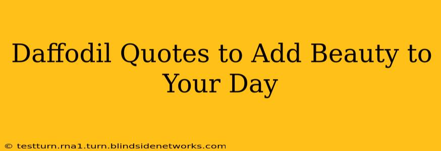 Daffodil Quotes to Add Beauty to Your Day