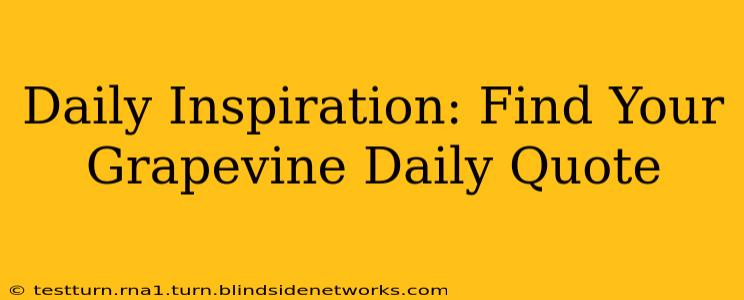 Daily Inspiration: Find Your Grapevine Daily Quote