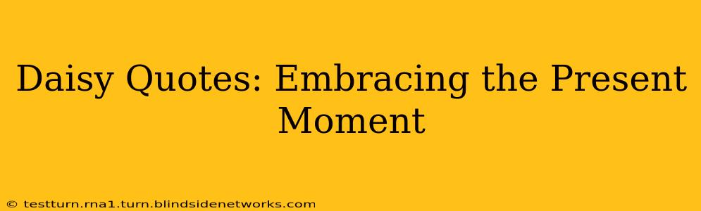 Daisy Quotes: Embracing the Present Moment