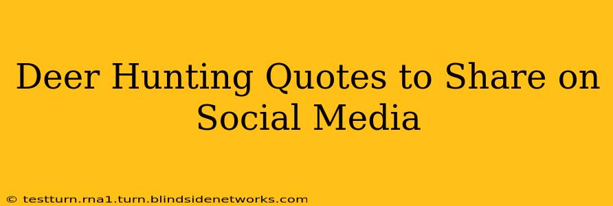 Deer Hunting Quotes to Share on Social Media