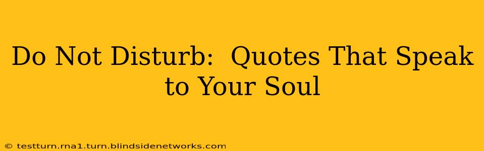 Do Not Disturb:  Quotes That Speak to Your Soul