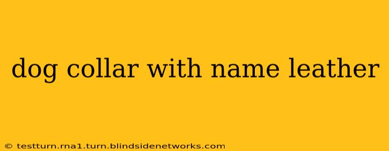 dog collar with name leather