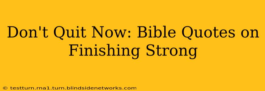 Don't Quit Now: Bible Quotes on Finishing Strong