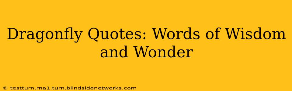 Dragonfly Quotes: Words of Wisdom and Wonder