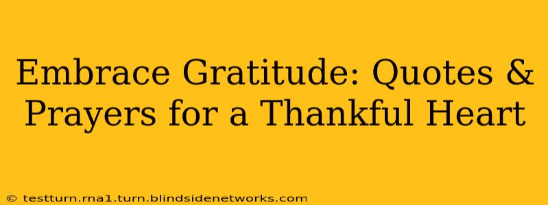 Embrace Gratitude: Quotes & Prayers for a Thankful Heart