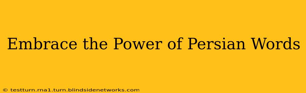 Embrace the Power of Persian Words