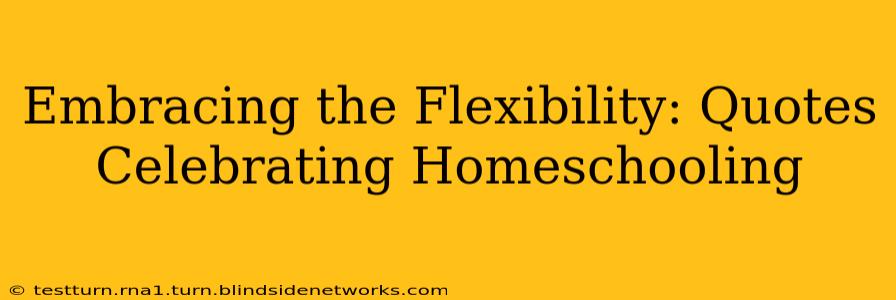 Embracing the Flexibility: Quotes Celebrating Homeschooling
