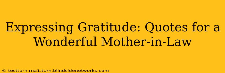 Expressing Gratitude: Quotes for a Wonderful Mother-in-Law