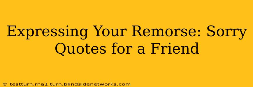Expressing Your Remorse: Sorry Quotes for a Friend