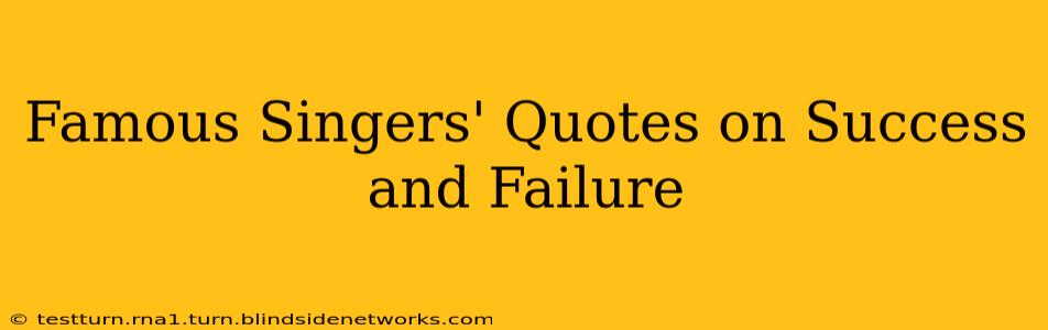 Famous Singers' Quotes on Success and Failure