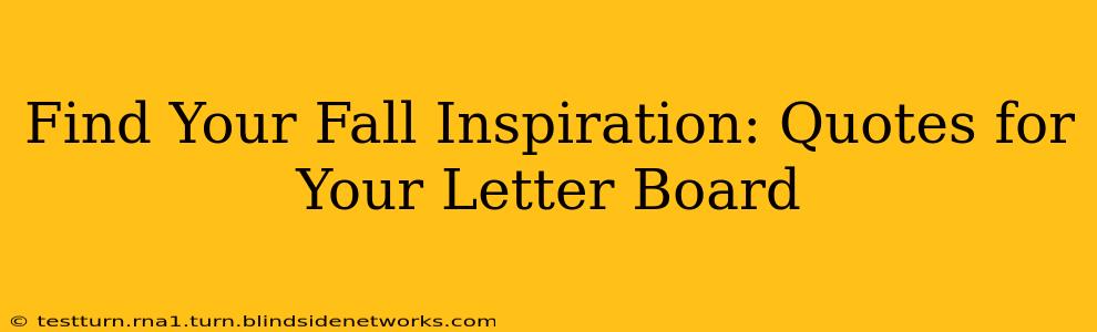 Find Your Fall Inspiration: Quotes for Your Letter Board