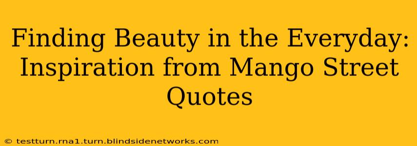 Finding Beauty in the Everyday: Inspiration from Mango Street Quotes