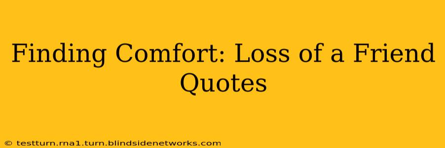 Finding Comfort: Loss of a Friend Quotes