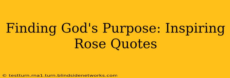 Finding God's Purpose: Inspiring Rose Quotes