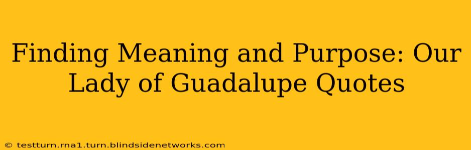 Finding Meaning and Purpose: Our Lady of Guadalupe Quotes