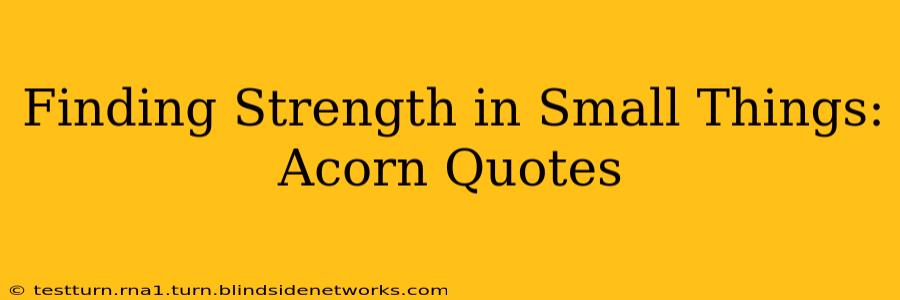 Finding Strength in Small Things: Acorn Quotes