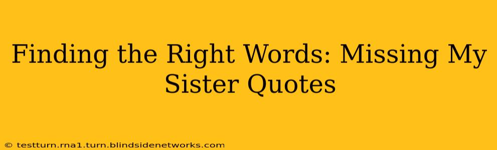 Finding the Right Words: Missing My Sister Quotes