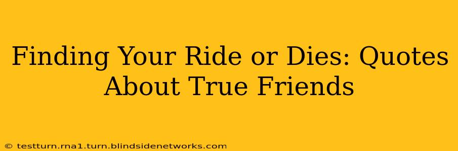 Finding Your Ride or Dies: Quotes About True Friends