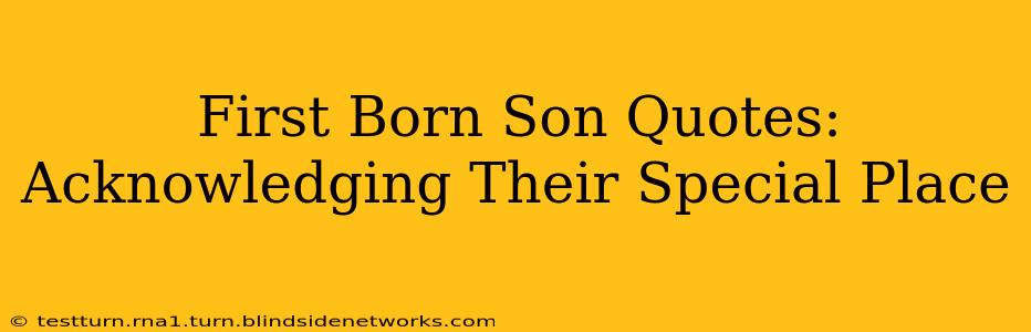 First Born Son Quotes: Acknowledging Their Special Place