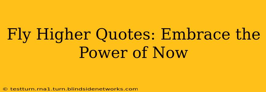 Fly Higher Quotes: Embrace the Power of Now