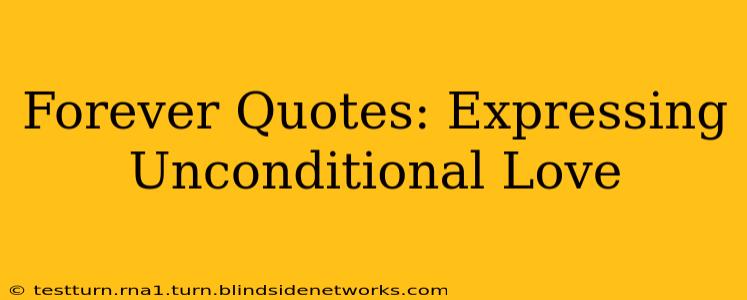 Forever Quotes: Expressing Unconditional Love