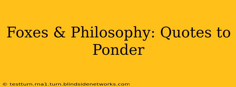 Foxes & Philosophy: Quotes to Ponder